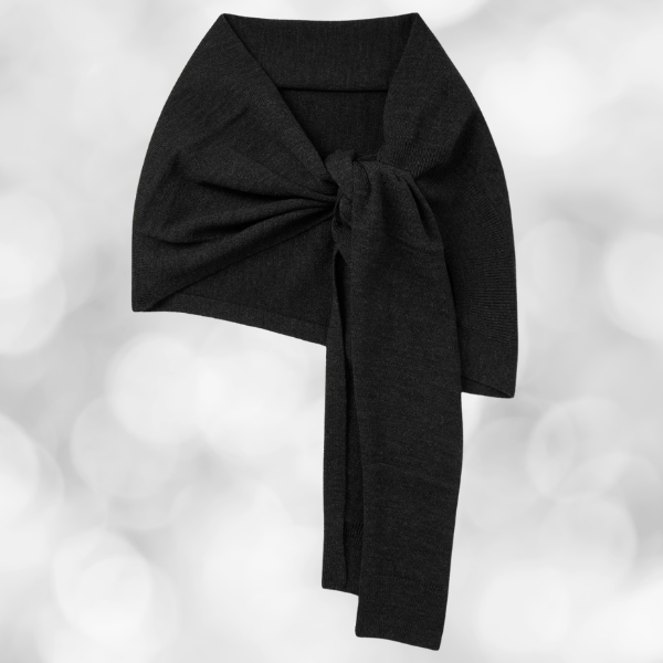 Winter accessory- wool or knit scarf