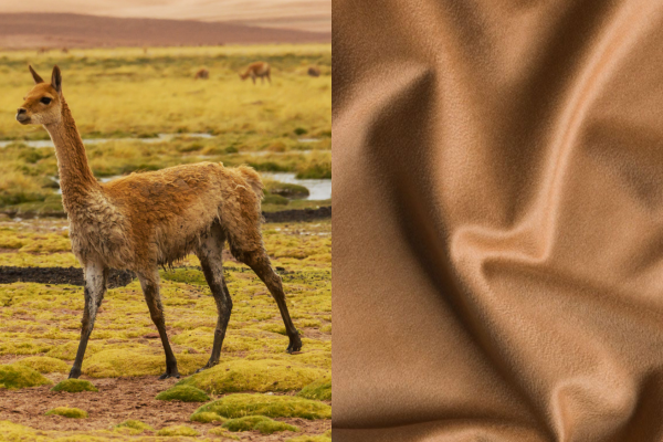 Vicuna fabric